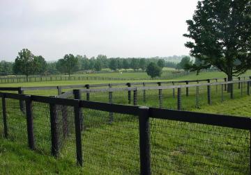 Horse farm fence