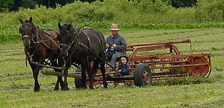 Amish hay wagon