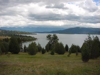 Flathead lake