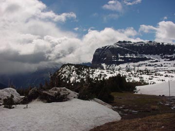 The top of Logan Pass