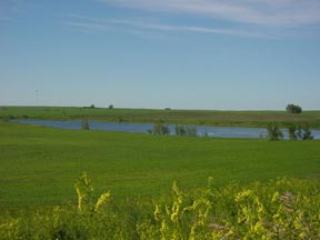 Green fields and a lake