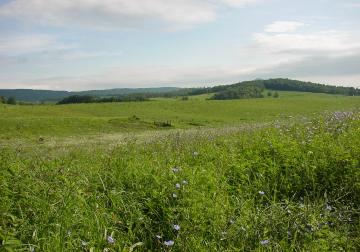 Shenandoah Valley