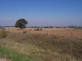 Dry-Farmland