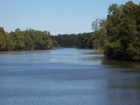 Bayou - Grosse Tete