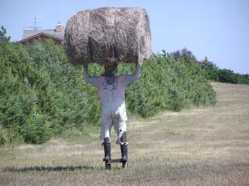 Man Holding Hay Bale