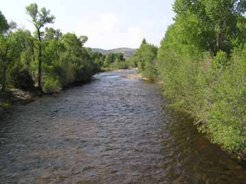 Encampment River Riverside - WY